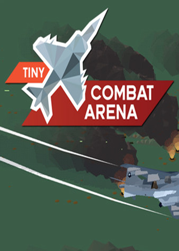 Tiny Combat Arena Steam Digital Code Global